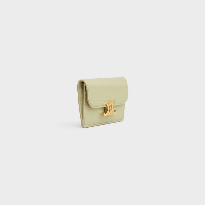 Porte-Carte Celine Flap Triomphe Shiny Calfskin Vert | CL-592948