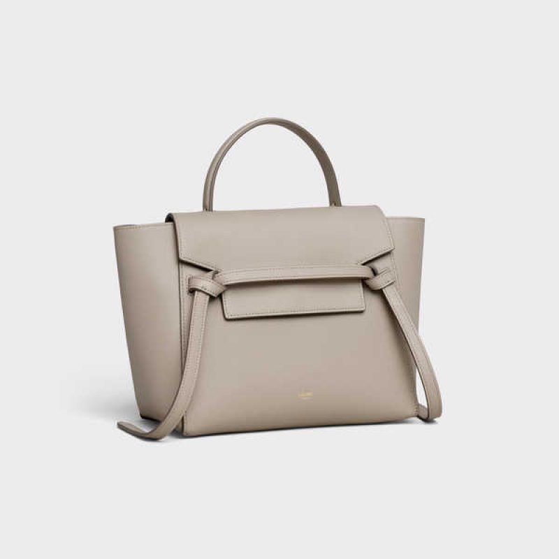 Sac Banane Celine Micro In Grained Calfskin Grise Clair Marron | CL-593063