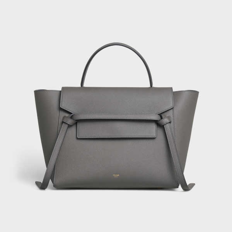 Sac Banane Celine Mini In Grained Calfskin Grise | CL-593065