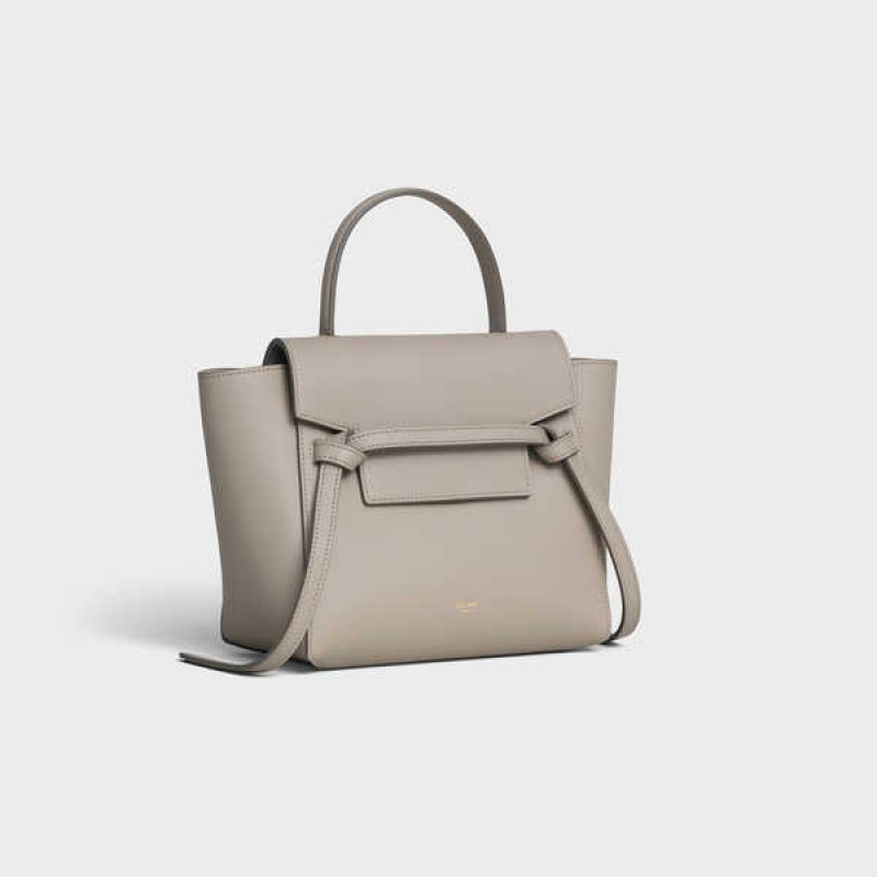 Sac Banane Celine Nano In Grained Calfskin Grise Clair Marron | CL-593058