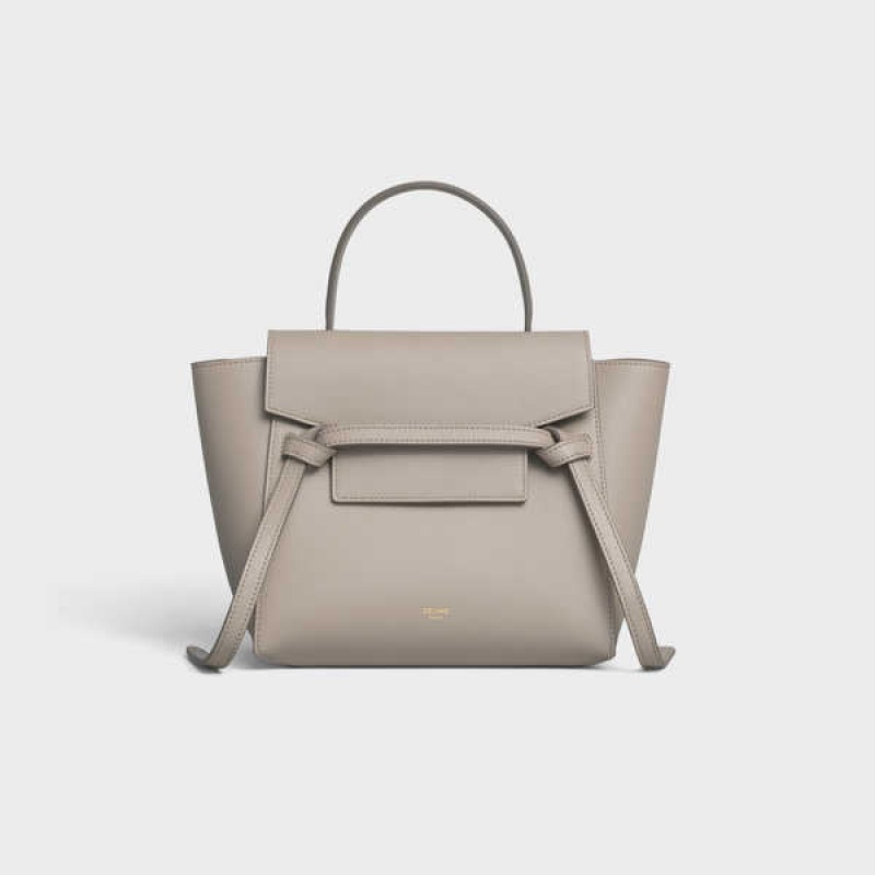 Sac Banane Celine Nano In Grained Calfskin Grise Clair Marron | CL-593058